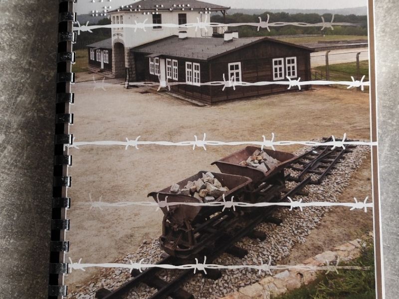 Brajlowski i czarnodrukowy przewodnik z termoformowanymi, wypukłymi grafikami  Brajlowski i czarnodrukowy przewodnik z termoformowanymi, wypukłymi grafikami